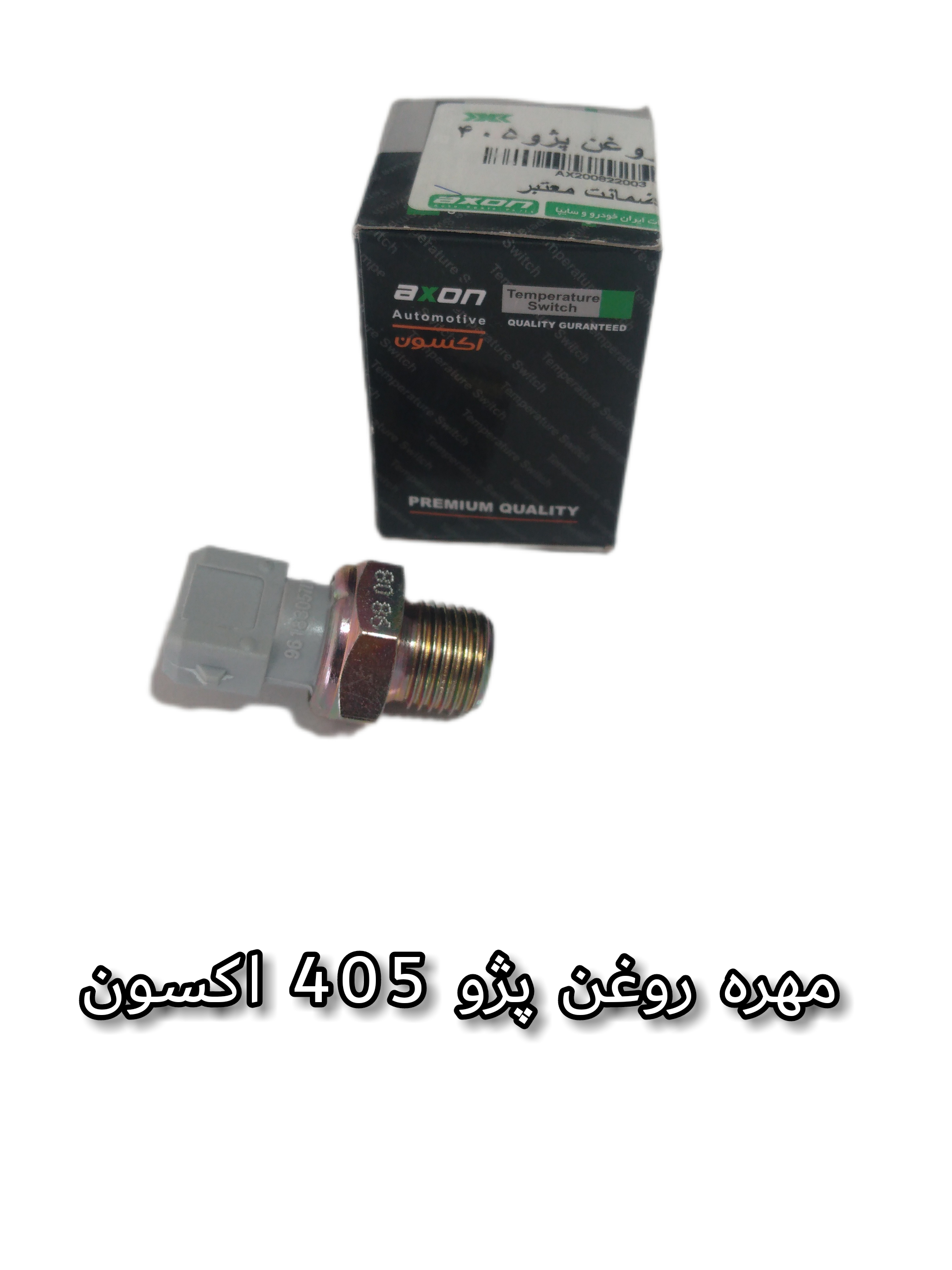 اکسون